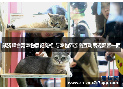 戴资颖台湾宠物展览亮相 与宠物猫亲密互动展现温馨一面