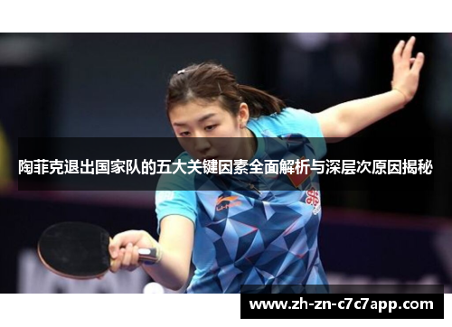 陶菲克退出国家队的五大关键因素全面解析与深层次原因揭秘