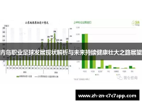 青岛职业足球发展现状解析与未来持续健康壮大之路展望